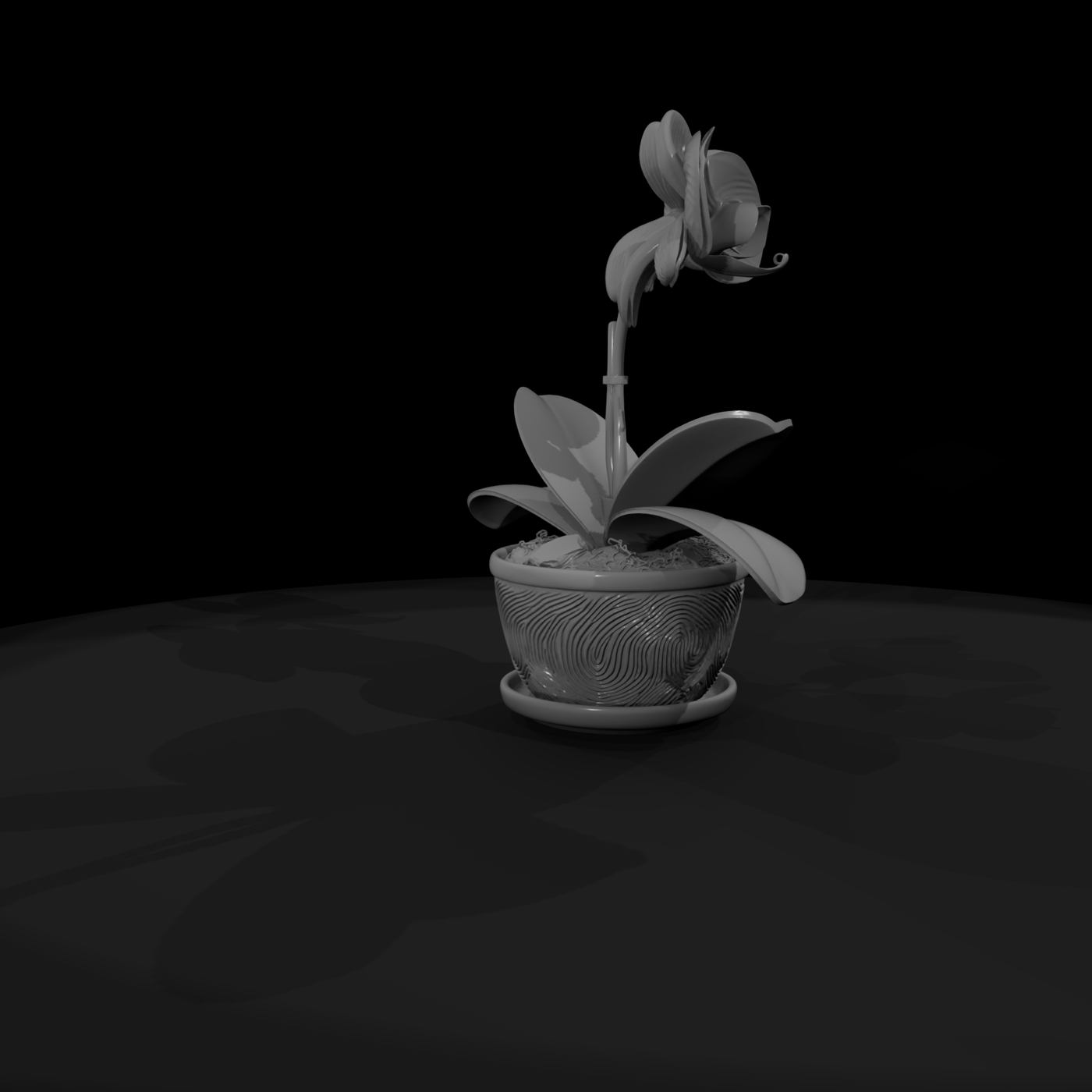 Stylized Potted Moth Orchid Miniature