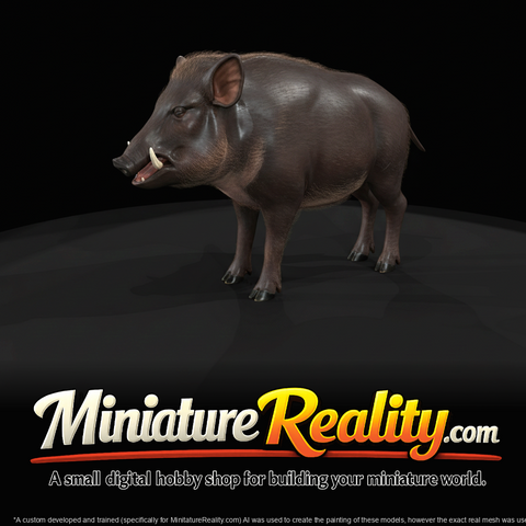 Wild Boar Male 005 (estimated)