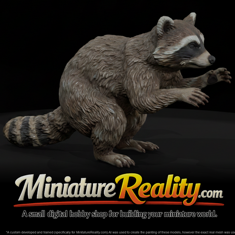 Animal Raccoon miniature, three-quarter view