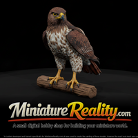 Animal Red Tailed Hawk miniature, three-quarter view — thumbnail 1