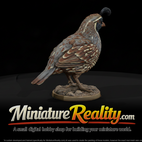 Animal Gambel's Quail miniature, three-quarter view